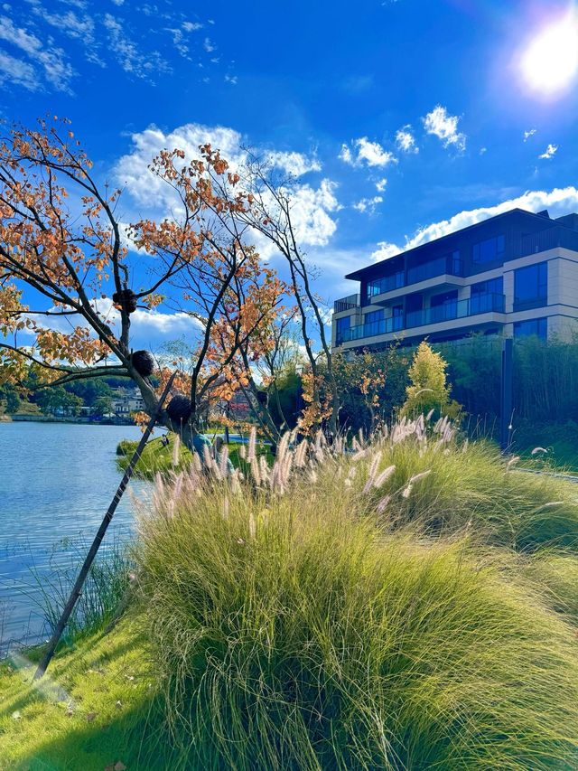 湖光蕩漾，草綠天藍，松弛感小仙境，星海文旅小鎮