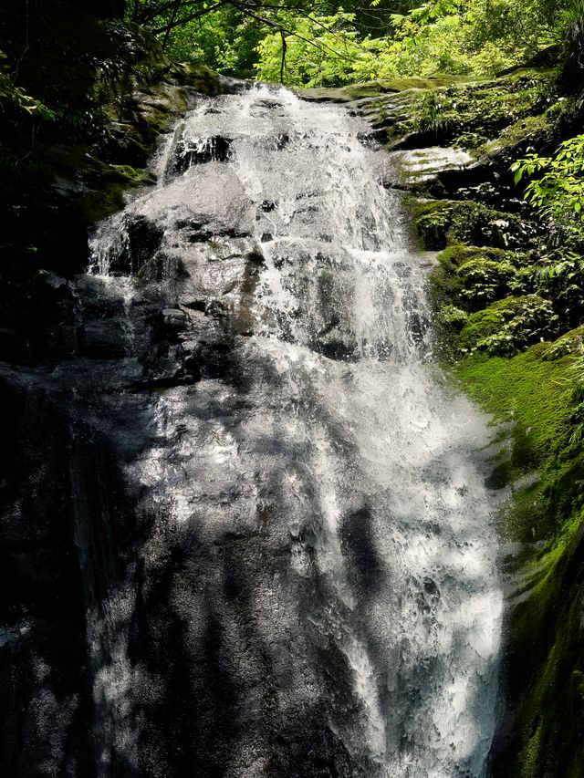 藏不住啦每年都會去幾次的夏日避暑徒步玩水寶藏地