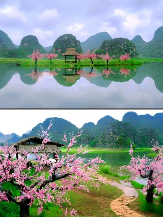 Radiant peach blossoms stretch for three thousand miles, not failing the prime of youth nor failing you—Eternal Love of Dream