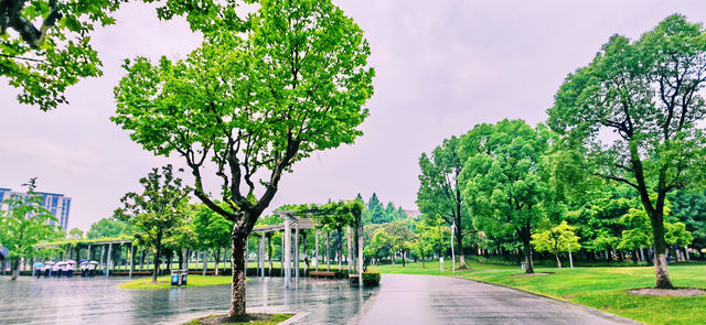 閔行文化公園｜梅雨瀟瀟瀝瀝，公園鬱鬱蔥蔥