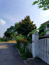 走進五星村