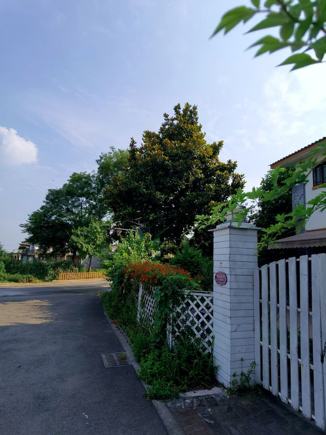 走進五星村