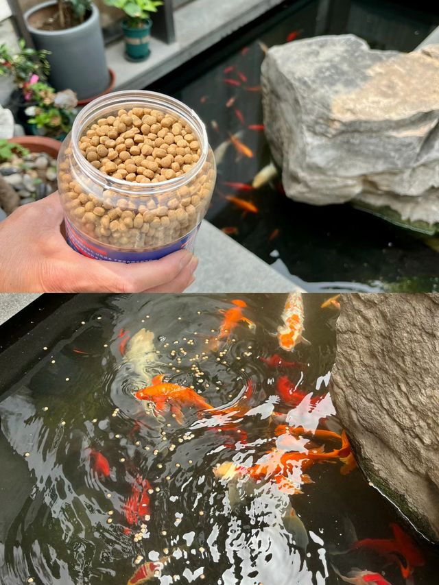 住一次就再也不想換的民宿·隱泉別院
