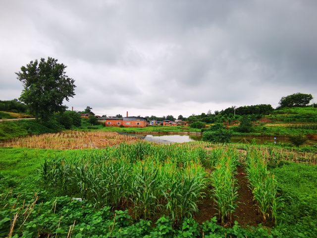 雨漫內自邊界的中溪河畔