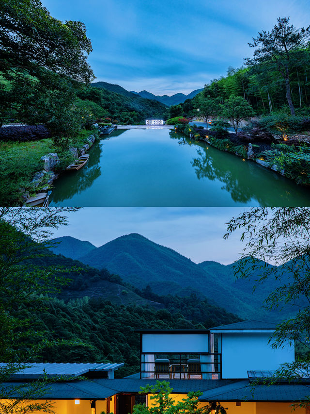 安吉｜獨享山谷在避世之所親近竹海