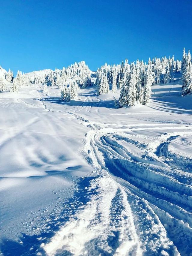 🌟 Canada's Top 5 Must-See Spots 🌲🏞️