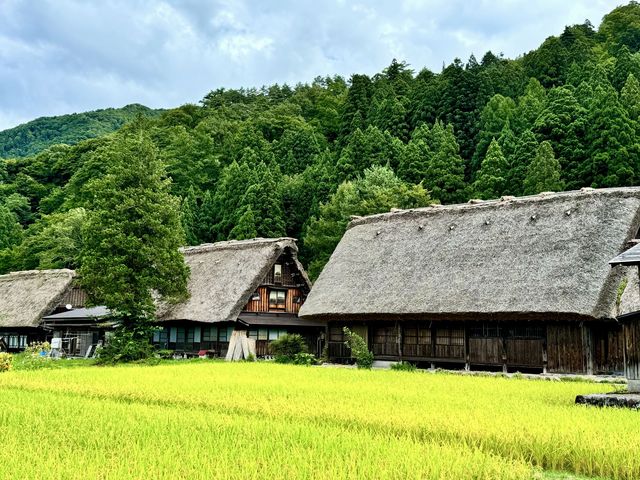 白川鄉——日本的阿勒泰