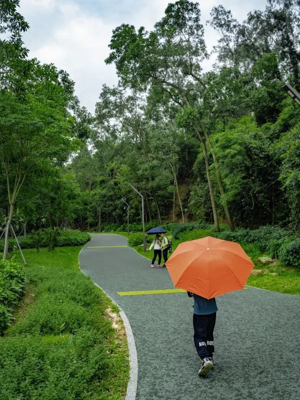 深圳秘境！森林綠道探險🌳