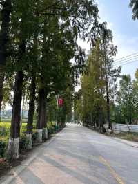 汉中1小時車程的免費小眾露營地,適合帶小朋友玩樂及垂釣。