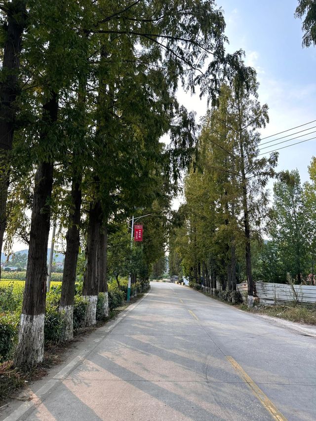 汉中1小時車程的免費小眾露營地,適合帶小朋友玩樂及垂釣。