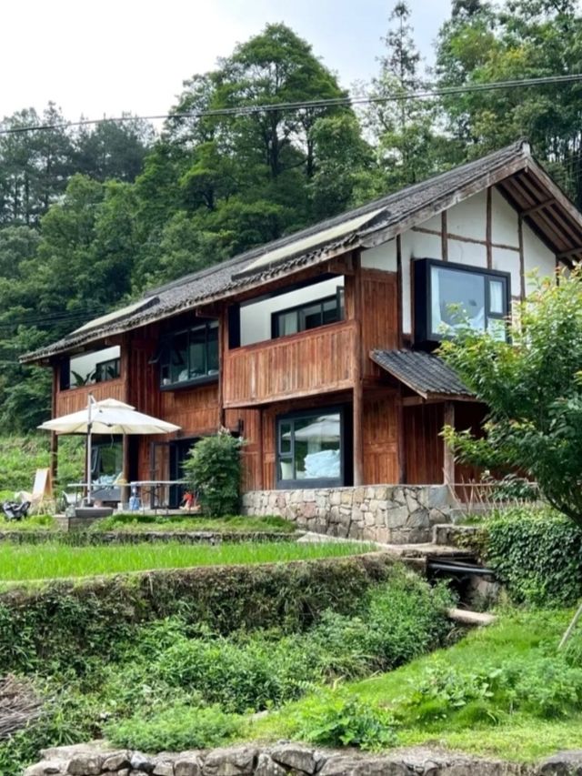 在重慶人間仙境滿眼盡是青翠——習水梧桐山山林裡的民宿。