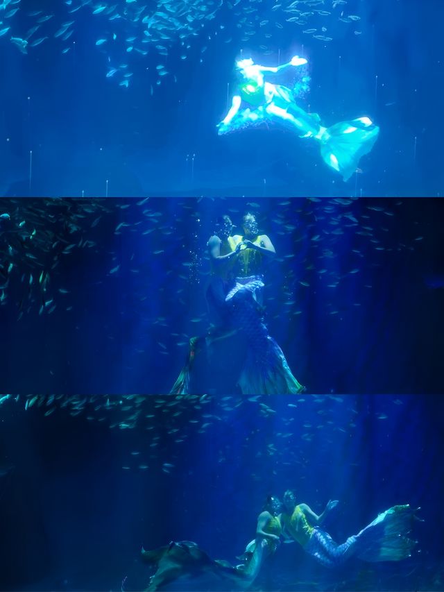 成都極地海洋公園。