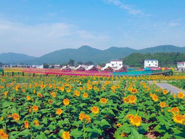 半城山水一座城，中江掛麵村。