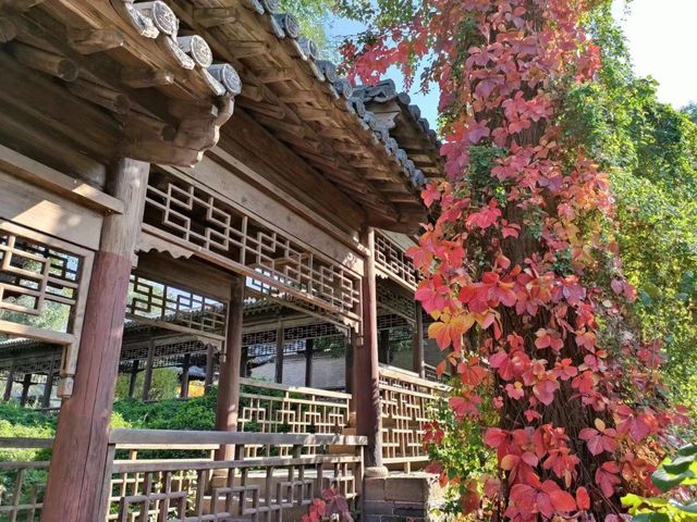 常家莊園簡介