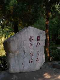 南陽臥龍岡武侯祠／一個人的旅行。