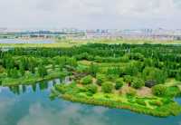 寶豐濕地公園旅遊，環境優美，風景如畫，是休閒遊好去處。