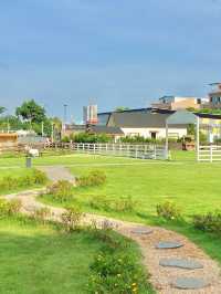 廣州版 濟州島綿陽牧場絕美草地。