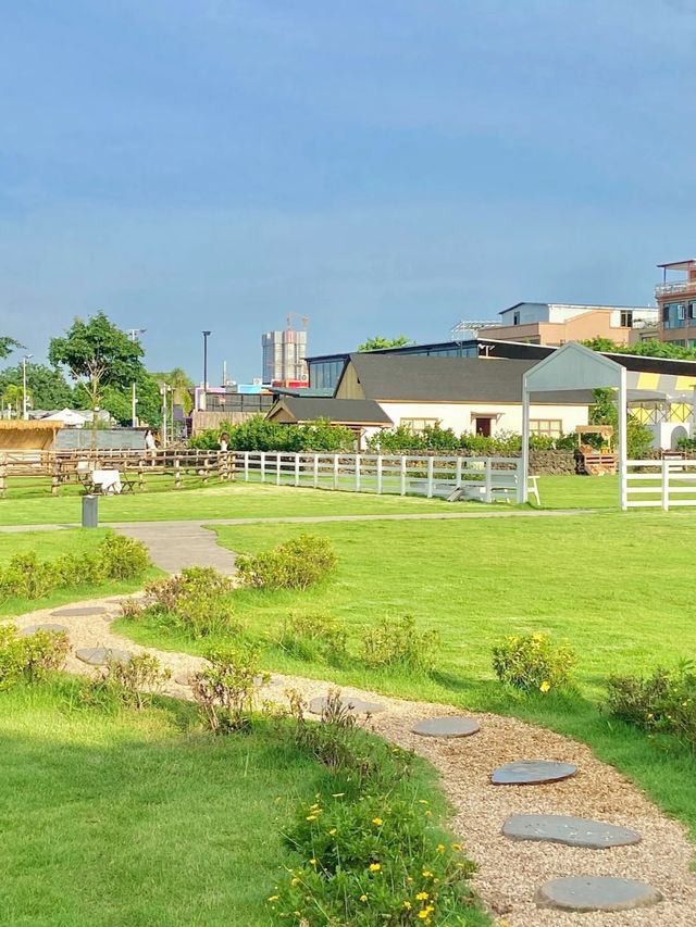 廣州版 濟州島綿陽牧場絕美草地。