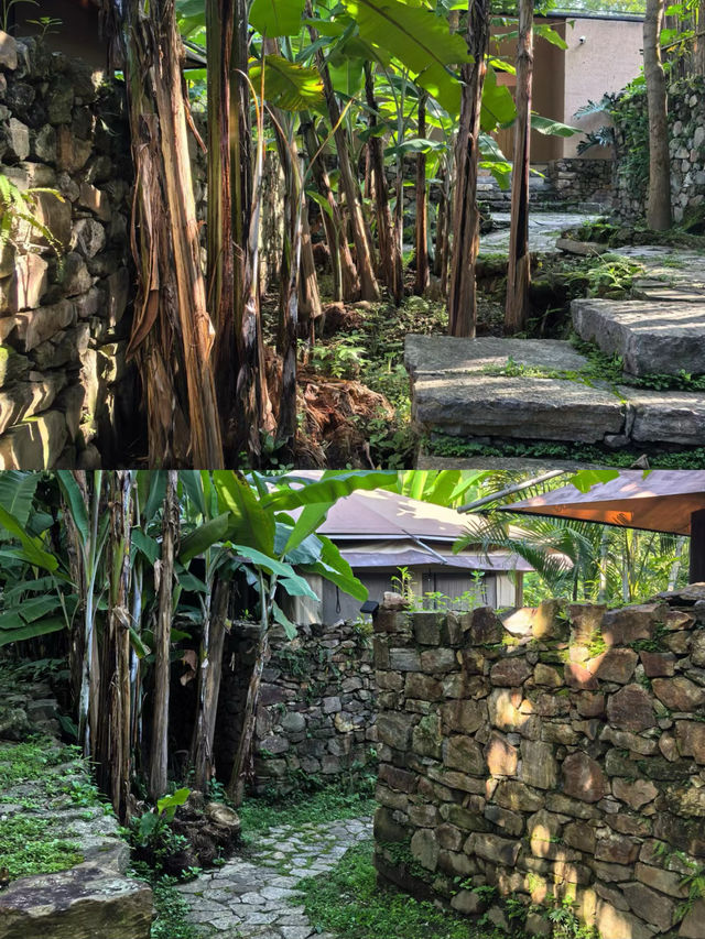 住進深山帳篷酒店，等一場日落。