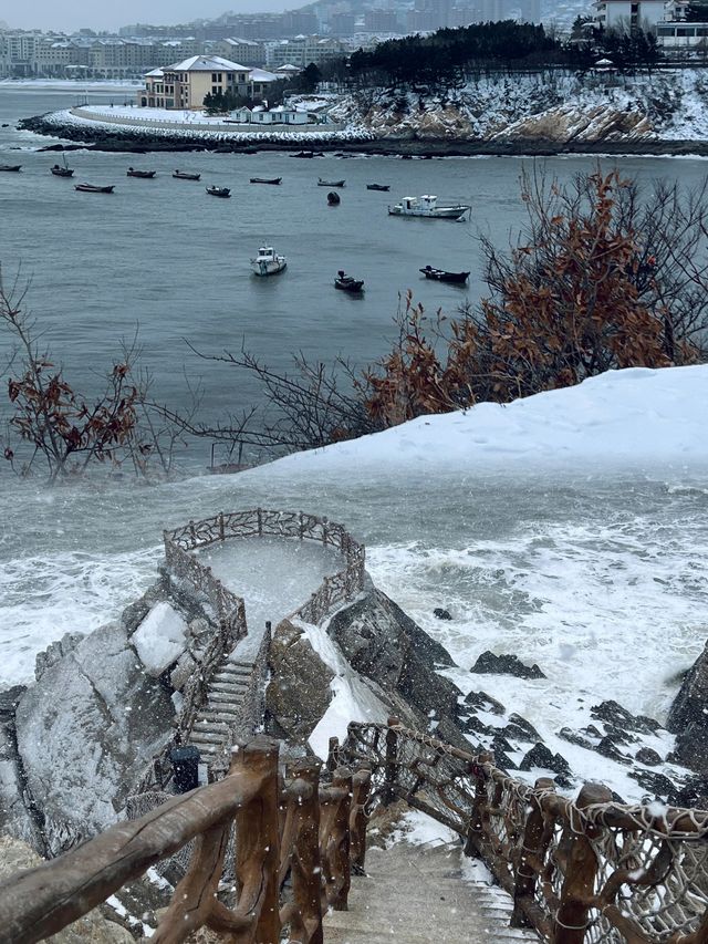 開始期待下雪的威海了！很冷又很浪漫。