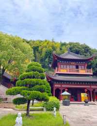 杭州大雄山東麓竹林裡藏着一座講寺，每天都能聽到比丘尼的誦經聲。
