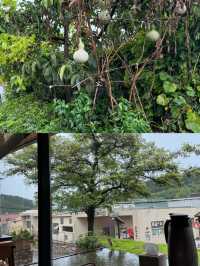 離北京非常近的古村落，此次出行山美景美。