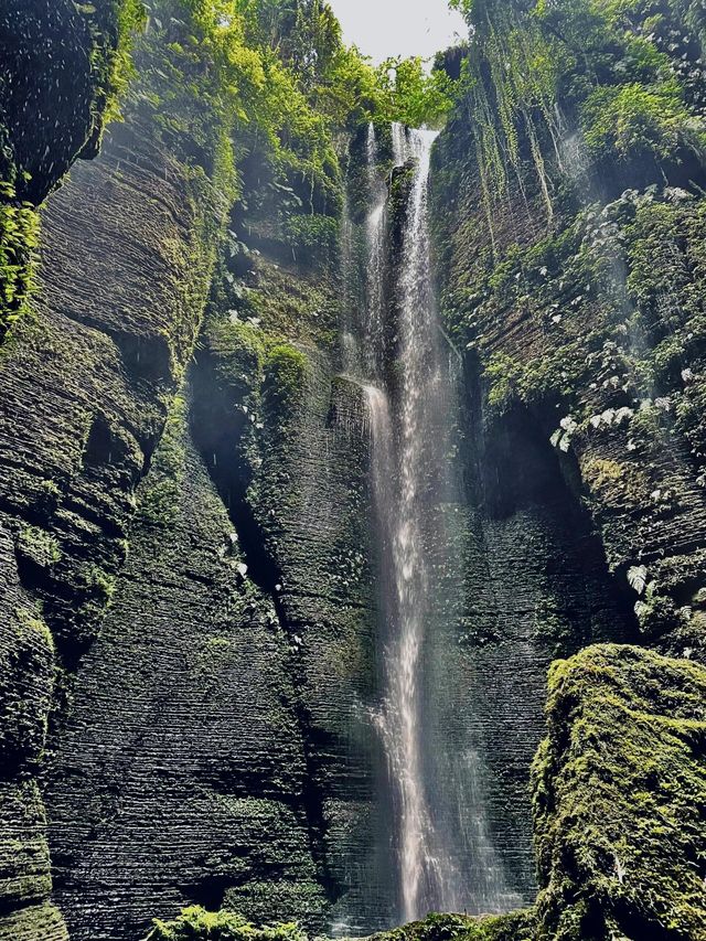 宜賓 僰王山｜遠離霧霾 走進氧吧。