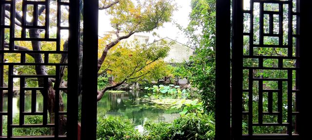 綿綿細雨藝圃行。