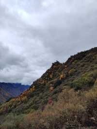 千人奔赴～臥龍川北營參加徒步登山節。