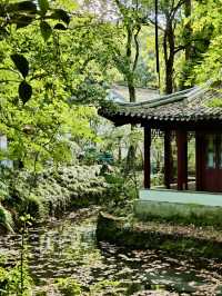 歷史與自然交融的鐘山風景區，感受金陵的悠遠氣息