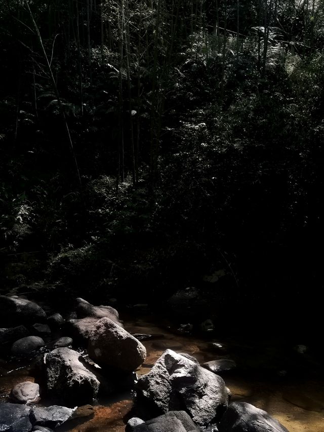 南昆山真是惠州的避暑勝地。