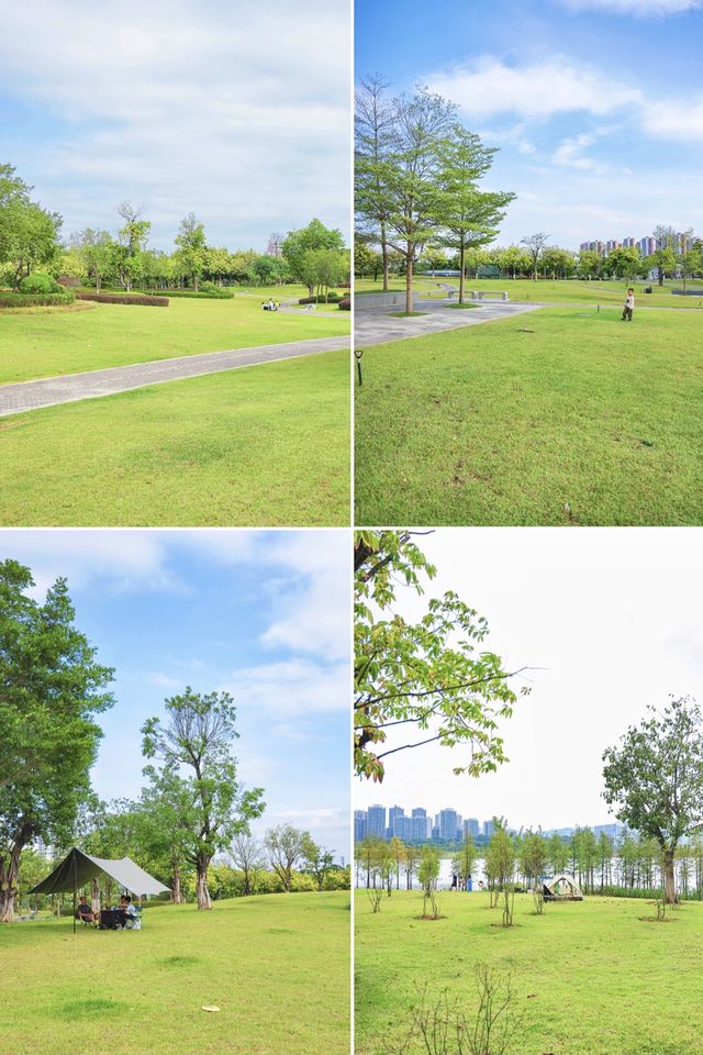 地鐵直達的免費超大草坪露營騎行。