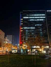 【北海道大通公園】夜晚銀杏遊，感受秋夜寧靜