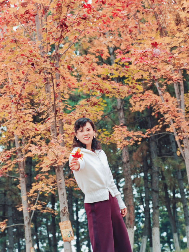 西安雁南公園——四季更迭，各有其美！