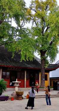 定慧寺裡的銀杏葉還未全黃。