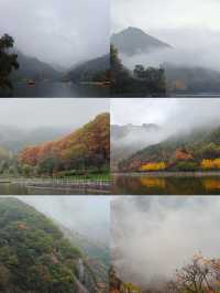 翠華山探秘之旅，西安的自然寶藏。