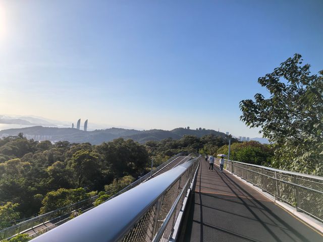 東山水庫到盼歸塔徒步。