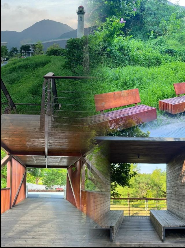 深圳白沙灣公園|邂逅自然之美,重拾生活。 深圳白沙灣公園|邂逅自然之美,重拾生活。