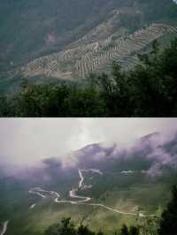 昆明周邊｜戛灑哀牢山兩天一夜吃住行攻略