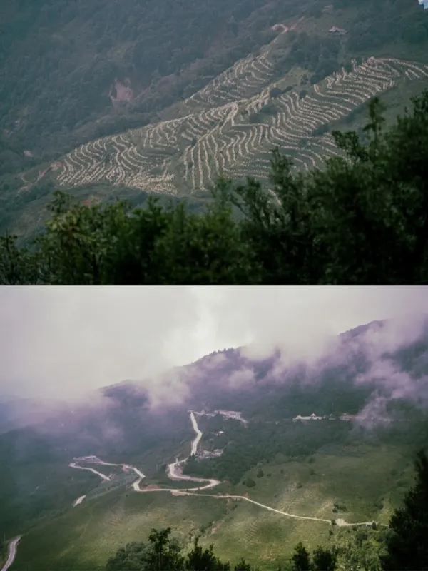 昆明周邊｜戛灑哀牢山兩天一夜吃住行攻略