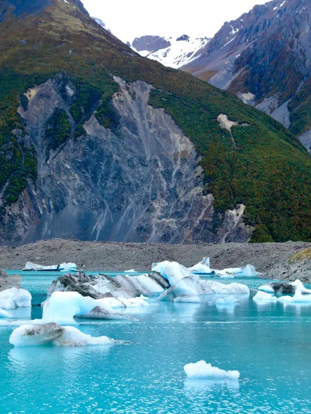 뉴질랜드 8일 여행 노년층 필수 여행 가이드