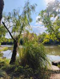 上海休閒的好地方顧村公園