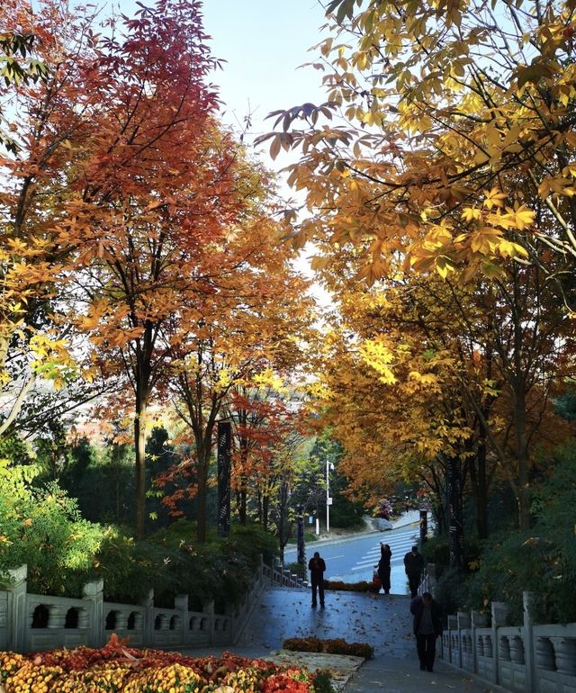 穿越千年，石鼓尋幽：中華石鼓園之旅