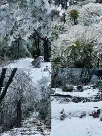 不是哈爾濱去不起，而是廣東皇后山更有性價比
