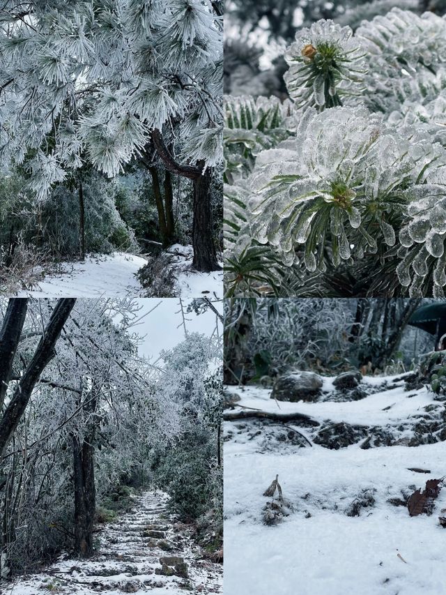 不是哈爾濱去不起，而是廣東皇后山更有性價比
