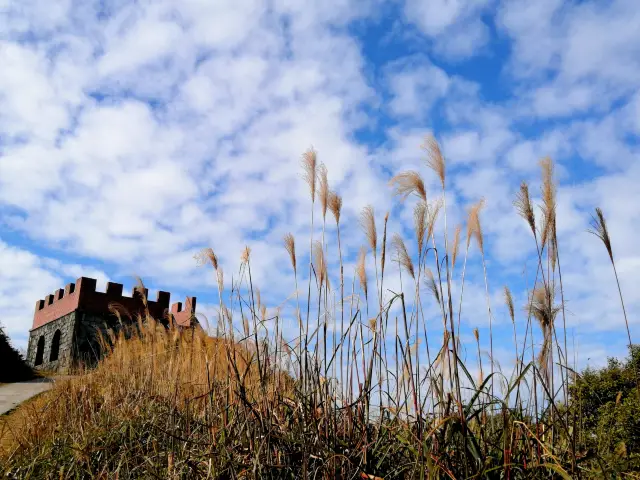 A bit of a surprise: Xiangwoshan Ecological Park