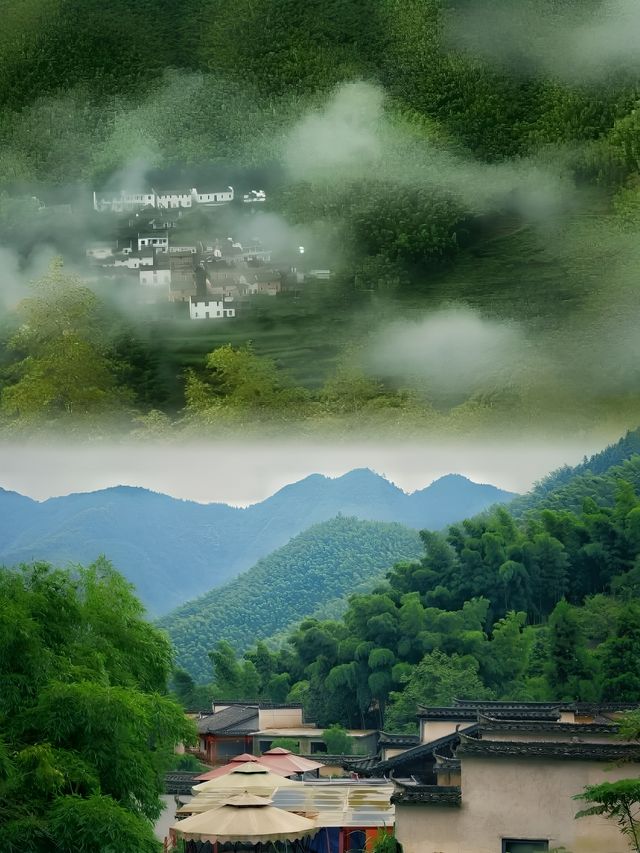 杭州周邊寧靜去處—安吉大竹海攻略