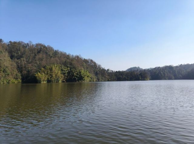 昭通·銅鑼壩國家森林公園：綠野仙蹤