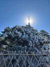 跨年日照遊 2天玩轉熱門風景