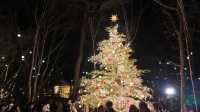 Karuizawa Highland Church Christmas Illumination Requires Advance Reservation